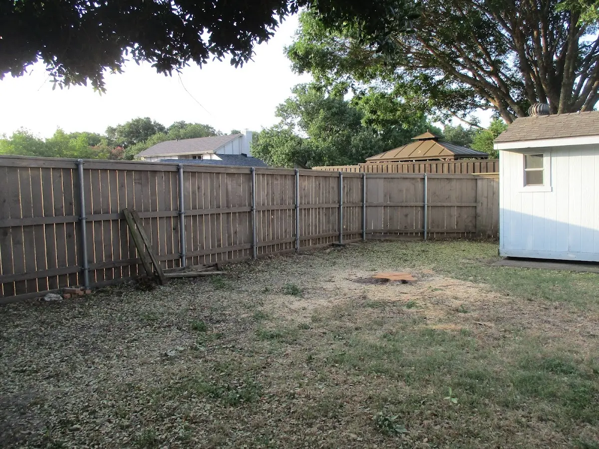 Cleared yard after professional tree removal in Calabash